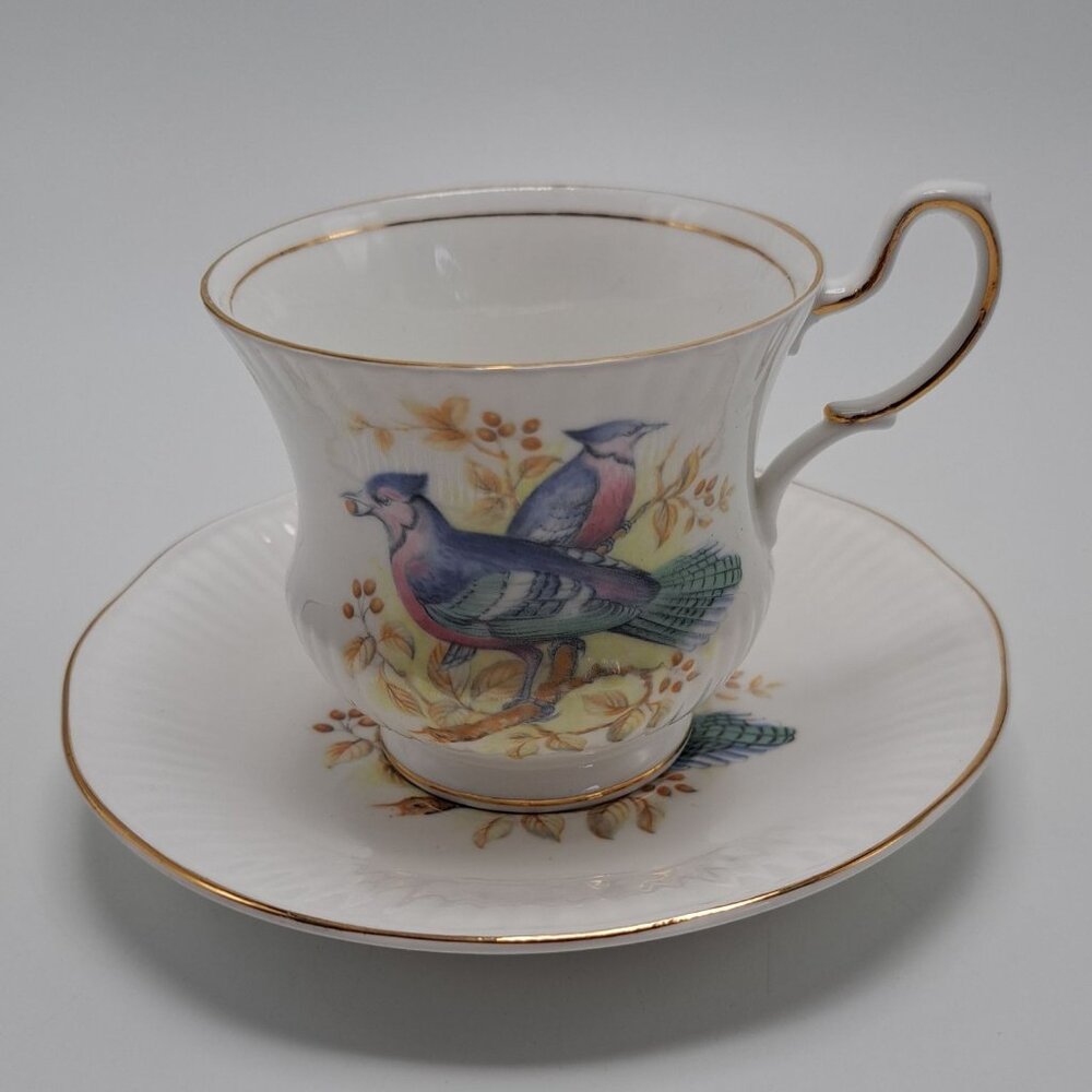 Queen's Rosina China Birds Of America Tea Cup & Saucer Set